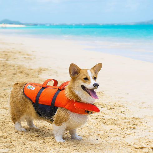 Outward Hound Granby Splash Orange Dog Life Jacket - Small
