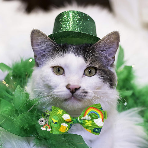 Pohshido 2 Pack St. Patrick's Cat Collar with Bow Tie and Bell, Breakaway Lucky Irish Shamrock Collar for Male and