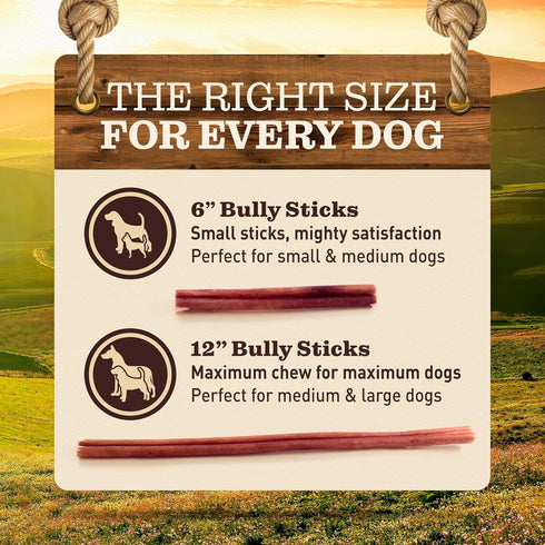 EVER FARM (12", 5 Pack) 100% Pet Odor-Free Standard Bully Sticks Grass-Fed Beef Pizzle Dog Chews, Fully Digestible