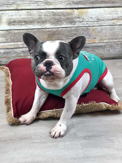 Parisian Pet Funny Christmas Holiday Dog Cat Shirts, Naughty or Nice, Santa's Helper, M