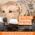 Dummies SportDOG White Plastic - Durable Soft Plastic Retriever & Hunting Bumper Training Accessory - Non-Toxic