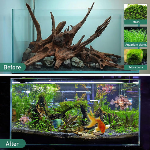 Natural Driftwood for Aquarium Decor, 5 Pieces 4-8" Assorted Branches Fish Tank Decorations