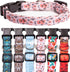 Dog Collar for Small Medium & Large Dogs - Designer Patterns on Adjustable, Strong and Durable Floral Collar