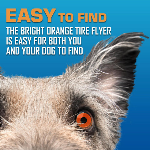 Nerf Dog Atomic Flyer 10 Inch Outdoor Dog Fetch Toy, Rubber Flying Disc for Medium and Large Dogs, Orange