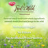 Kaytee Food from The Wild Natural Snack for Pet Hamsters, Gerbils, Rats, and Mice, 2 Ounces