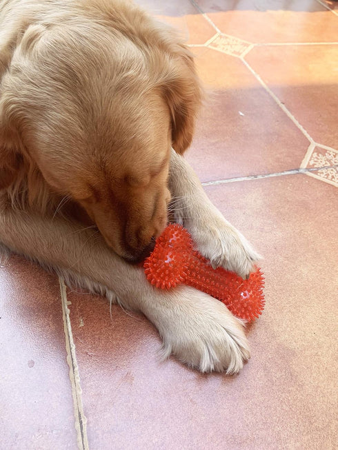 Non-Toxic Dog Squeaky Toys Value Set, TPR Rubber Balls, Spikey Chew Toys for Small Medium Dogs, Puppy Teething Toys
