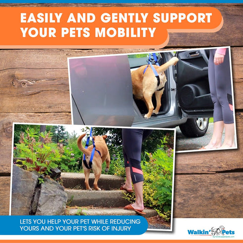 Up-n-Go Rear Support Lifting Harness for Dogs, Helps with Arthritis, Weakness, Joint Injuries Rehab