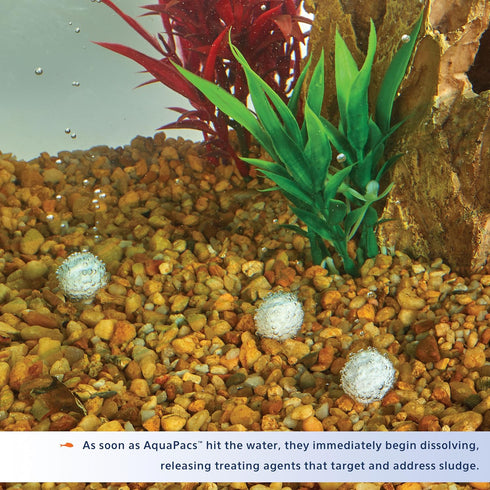 Aqueon AquaPacs Sludge Remover, 12 Pack for 10 Gallon