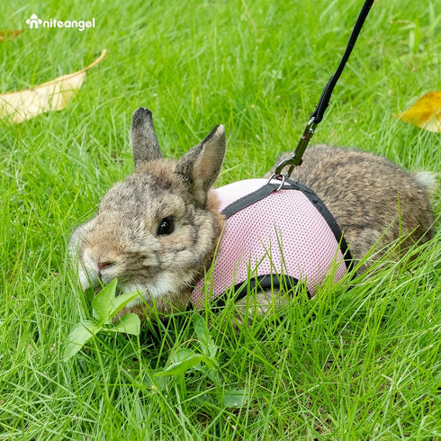 Niteangel Adjustable Soft Harness with Elastic Leash for Rabbits, L, Pink