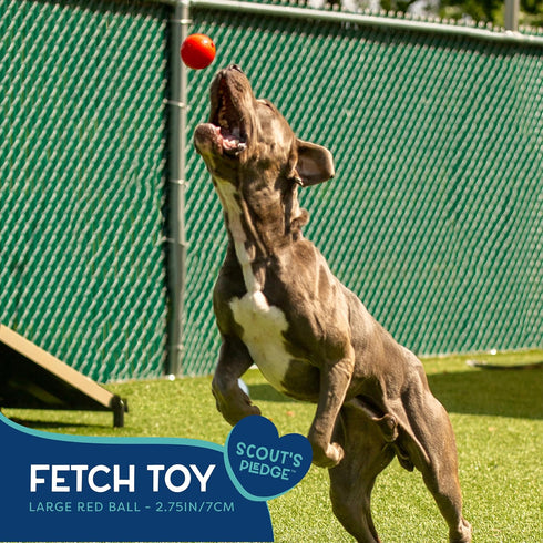 Good Scout Large Rubber Ball Dog Toy for Fetching, Chewing, No Stuffing for Medium & Large Dogs, Aggressive Chew Toy