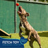 Good Scout Large Rubber Ball Dog Toy for Fetching, Chewing, No Stuffing for Medium & Large Dogs, Aggressive Chew Toy