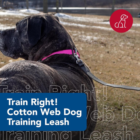 Coastal - Train Right - Cotton Web Dog Training Leash, Red, 5/8" x 15'