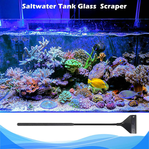 Algae Scraper for Glass Aquariums, 10 Stainless Steel Blades, Fish Tank Cleaner, Aquarium Algae Scrapers.