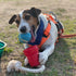 Made in USA Flingsy Dog Ball Launcher, Combination Throwing Toy with 100% Natural Cotton Rope Tug Fetch Thrower