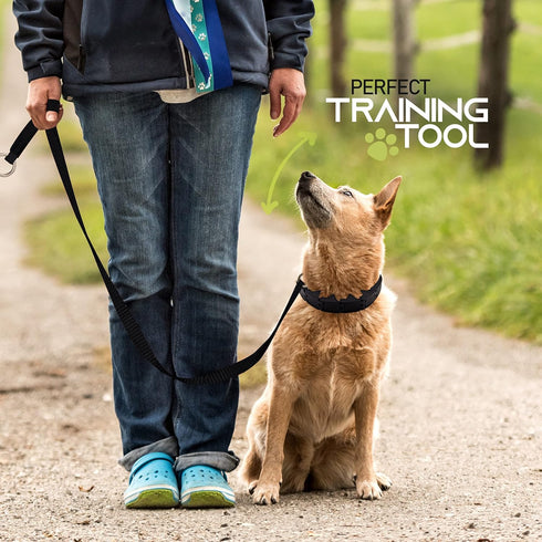 Ram-Pro Large Dog Training Pinch Collar, Gentle Effective/No Barking Control for All Breeds