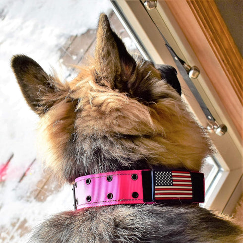 Heavy Duty Tactical Dog Collar 2 Inch Wide with Metal 2-Pin Belt Buckle for Medium, Large & XL Dogs, Reflective, USA