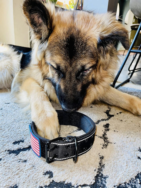 Tactical Dog Collar, 2 Inch Wide Heavy Duty with Metal 2-Pin Belt Buckle, Adjustable for Large & Medium Dogs