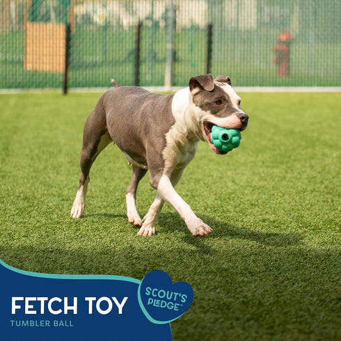 Good Scout Tumbler Ball Dog Fetch Toy, Indoor and Outdoor Rubber Dog Toy for Medium and Large Dogs