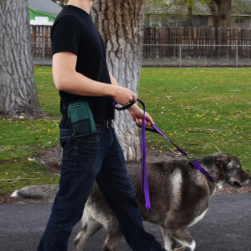 Smart Dog Treat Pouch Bag for Dog Training, Easy Access to Treats & Accessories, Earth Green by Wagtime Club