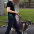 Smart Dog Treat Pouch Bag for Dog Training, Easy Access to Treats & Accessories, Earth Green by Wagtime Club