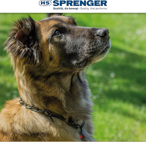 Herm Sprenger Black Stainless Steel Fur Saver Dog Collar - Medium Link Professional Training Collar (18 inches)