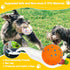 2 Pack 3'' Durable Dog Balls for Aggressive Chewers, Indestructible Floating Balls for Training Fetch
