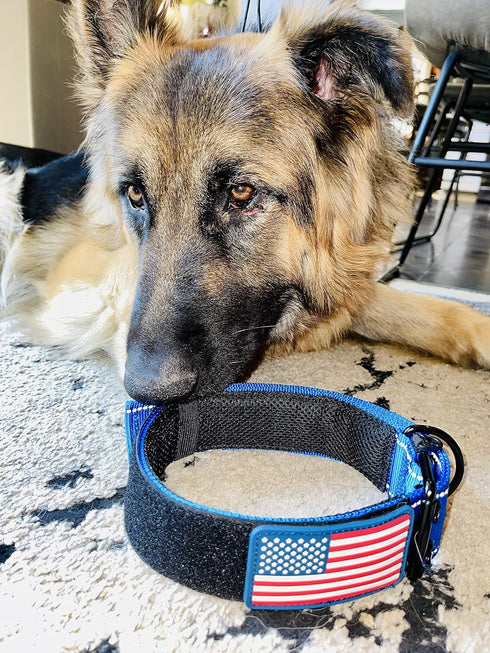 Dog Collars for Large Dogs - 2 inch Wide Personalized Collar with Metal Buckle American Flag Patch