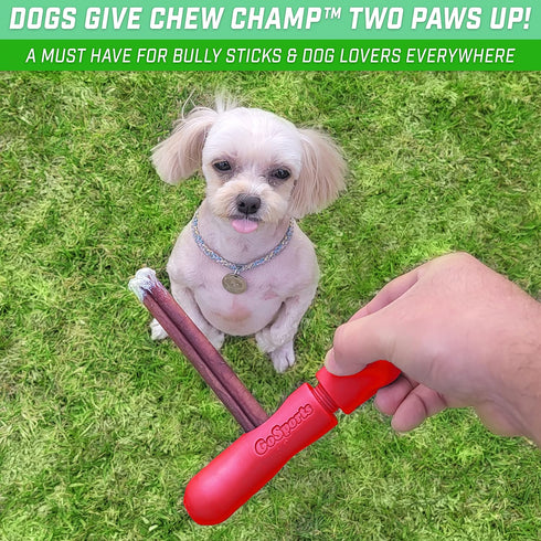 GoSports Chew Champ Bully Stick Holder for Dogs - Securely Holds Bully Sticks to Help Prevent Choking - 6 in or 8 in