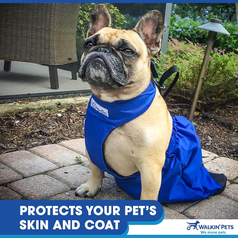 Drag Bag for Paralyzed Rear Legs - Indoor Dog Wheelchair Alternative, Durable Nylon, Breathable & Comfortable for Chest