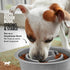 Tuff Pupper Slow Feeder Insert Bowl, Elevated Feeder Tray Bowl for Dogs, Easy Clean Dishwasher Safe (2 Cups)