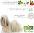 Best Shot Scentament Spa Botanical Body Splash - Alcohol-Free Body Spray Conditioner for Pets, Pina Colada, 8 Oz.