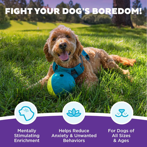 1 4.8" Outward Hound by Nina Ottosson Treat Tumble Interactive Food-Dispensing Dog Puzzle Ball, Level Beginner, Small