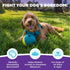 1 4.8" Outward Hound by Nina Ottosson Treat Tumble Interactive Food-Dispensing Dog Puzzle Ball, Level Beginner, Small