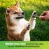VetIQ Minties Dog Dental Bone Treats - Dental Chews for Tiny/Small Dogs under 40 lbs, 80 Treats