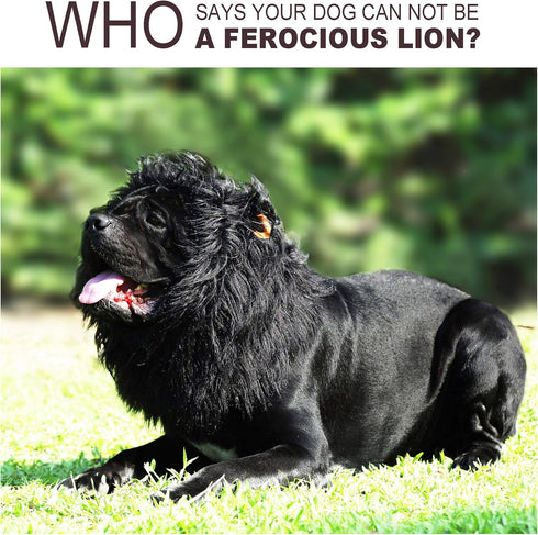 Onmygogo Lion Mane Wig for Dogs with Ears, Funny Pet Costumes for Halloween Christmas, Size L, Black