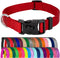 Country Brook Petz Dog Collar, American-Made, Large, 1 Inch Wide, Deluxe Heavy Duty Nylon, Red