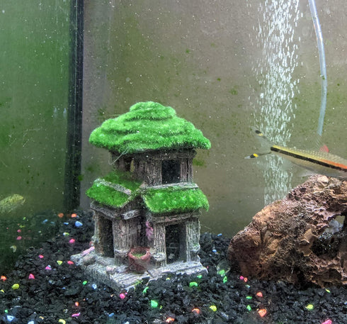 Fish House for Aquarium Decorations, Fish Hideout with Lifelike Moss and 2 pcs 4 inch Artificial Plants