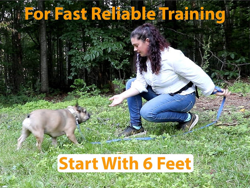 30 ft Dog Leash for Small, Medium, Large Dogs, Training Dog Leash Set 6ft, 15ft, 20ft, 30ft Long Dog Lead