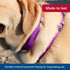 Coastal Pet Adjustable Dog Collar – Purple – 3/4" x 14" - 20" with Metal Buckle