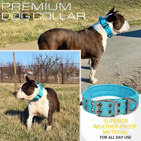 ADITYNA Reflective Blue Heavy Duty Dog Collar with Handle for Medium Dogs - Soft Neoprene Padded for Training (Medium: