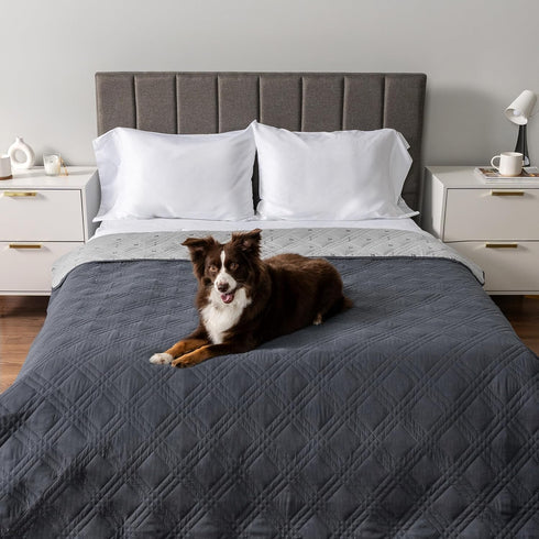 PetAmi Waterproof Couch Cover for Dogs, Reversible Sofa Protector, Washable Blanket for Pet Cat Bed, 102x82 Gray