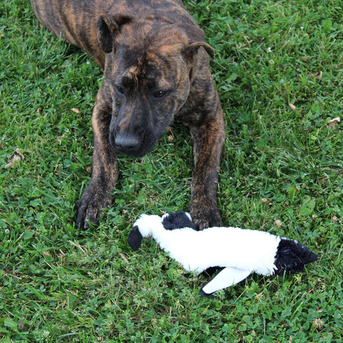 SPOT Skinneeez Stuffing Free Arctic Animal Dog Toy - Squeaker in Head and Tail, Great for Moderate Chewers
