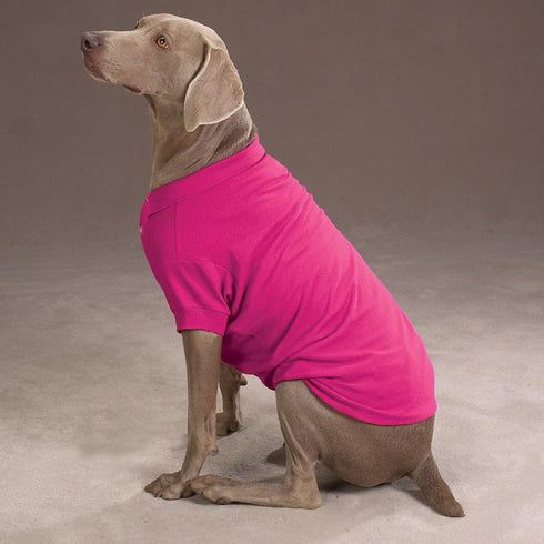 Zack & Zoey Cotton Polo Shirt for Dogs, Raspberry Sorbet, 8" X-Small