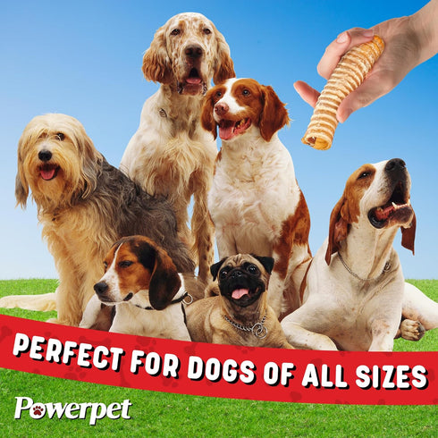 Beef Trachea Dog Chew - 100% All Natural, Low Fat, Protein-Rich Treat, 6 Inches