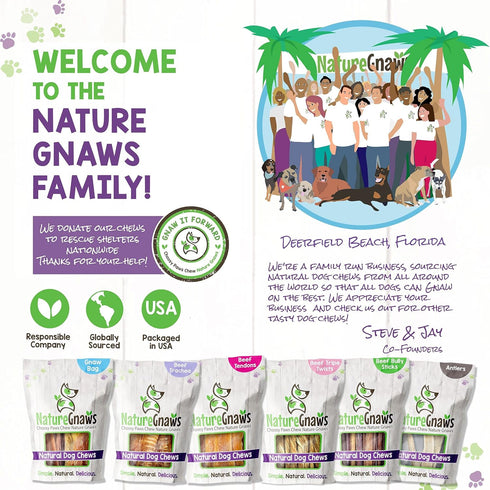 Nature Gnaws Braided Bully Sticks for Dogs, 5-6" (3 Count), Long Lasting Natural Beef Chew Bones