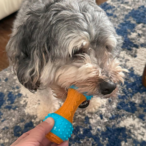 SPOT 5.5 Bam-Bones Plus Gigglers Dumbbell Durable Dog Chew Toy, for Medium Aggressive Chewers, Bamboo Fiber & Nylon