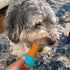 SPOT 5.5 Bam-Bones Plus Gigglers Dumbbell Durable Dog Chew Toy, for Medium Aggressive Chewers, Bamboo Fiber & Nylon