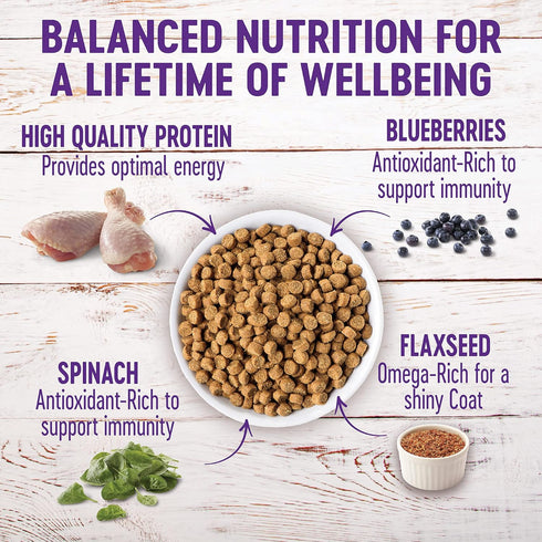 Wellness Complete Health Dry Puppy Food - Chicken, Salmon & Oatmeal, 5-Pound Bag