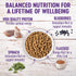 Wellness Complete Health Dry Puppy Food - Chicken, Salmon & Oatmeal, 5-Pound Bag