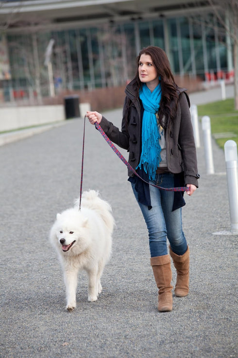 Eco Friendly Van Heemskerck Fashion Dog Leash, 5-Feet Long